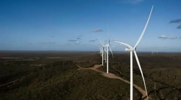 Com investimento de aproximadamente R$ 250 milhões, a Ypê, gigante no ramo de higiene e limpeza, fechou acordo para a autoprodução de energia renovável.